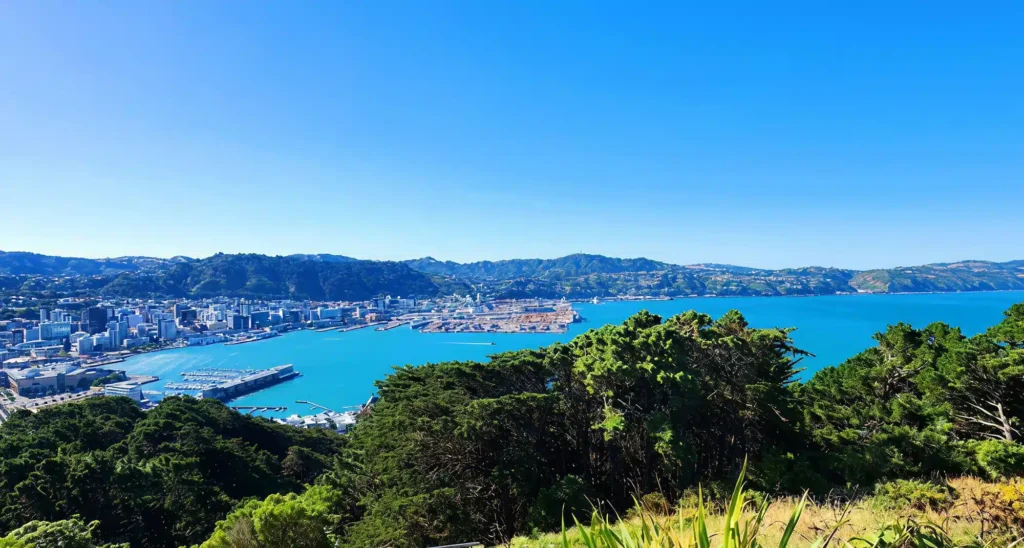 Wellington cityscape overlooking Te Whanganui-a-Tara, New Zealand